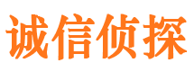 华安市调查公司